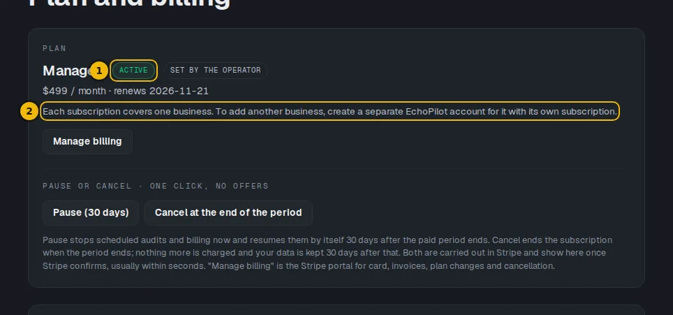Plan card on the Billing page with the plan name, its status label and the one-business note