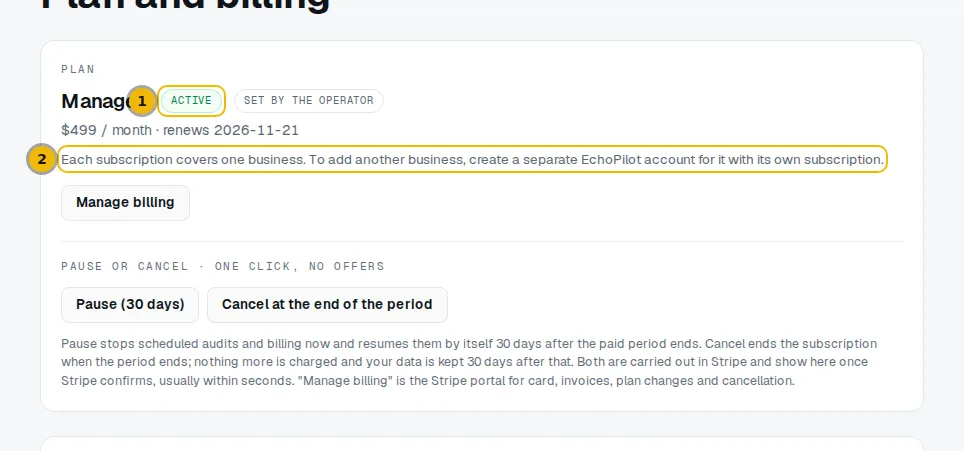 Plan card on the Billing page with the plan name, its status label and the one-business note