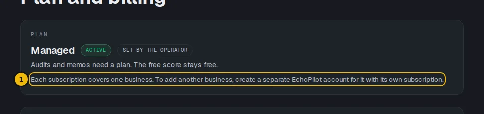 Billing page with the plan name, its status and the note that each subscription covers one business
