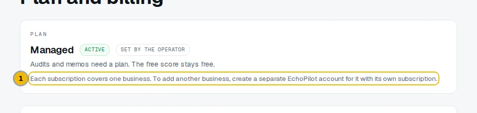 Billing page with the plan name, its status and the note that each subscription covers one business