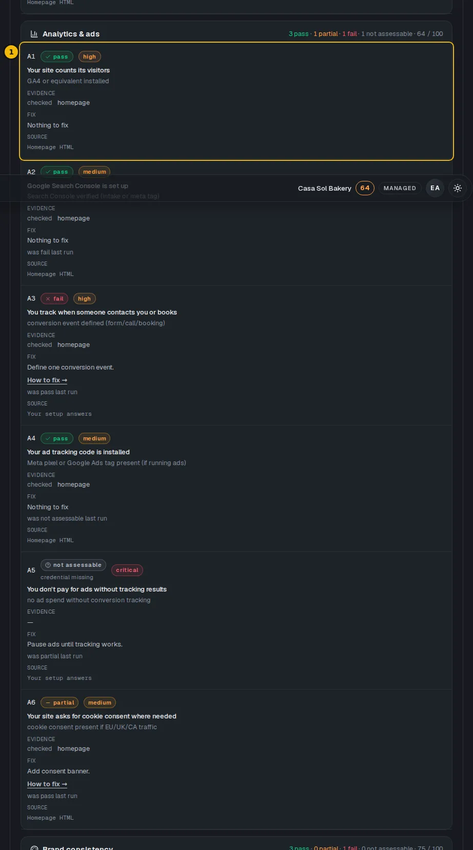The Analytics & ads checks on the audit page, with the A1 visitor-counting row marked