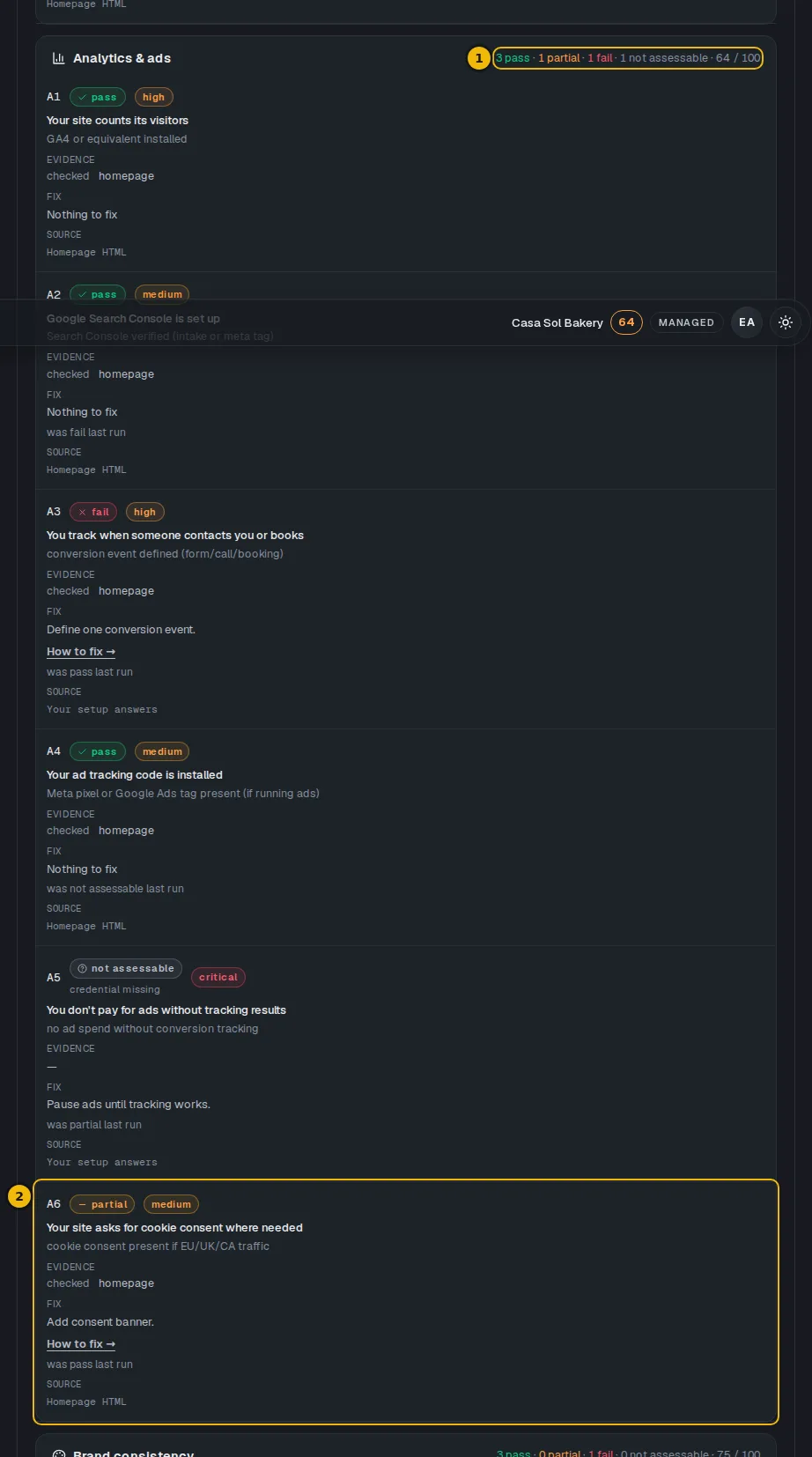 The Analytics & ads section of the audit page with its pass, partial and fail counts