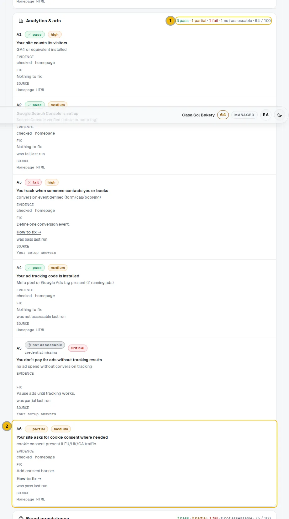 The Analytics & ads section of the audit page with its pass, partial and fail counts
